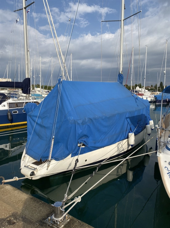 SunBeam 33 de segunda mano en venta