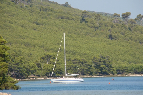 Northwind Marine 38 usata in vendita