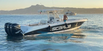 Wellcraft SCARAB 35 de segunda mano en venta