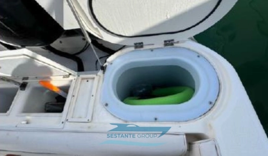 Wellcraft SCARAB 35 de segunda mano en venta