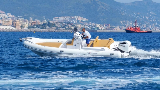 MV Marine MV 800 CONFORT de segunda mano en venta