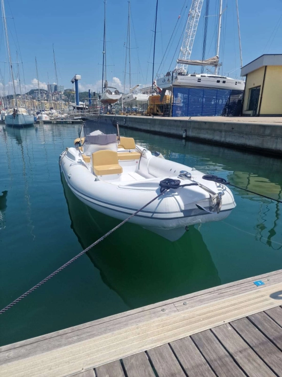 MV Marine MV 800 CONFORT de segunda mano en venta