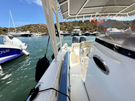 Wellcraft 35 SCARAB SPORT usado à venda