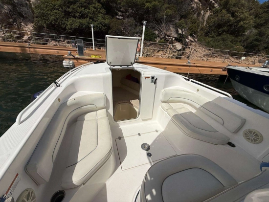 Wellcraft 35 SCARAB SPORT usado à venda