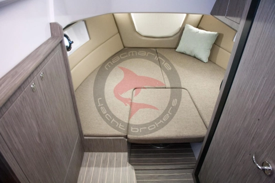 Ranieri INTERNATIONAL NEXT 285 LX novos à venda