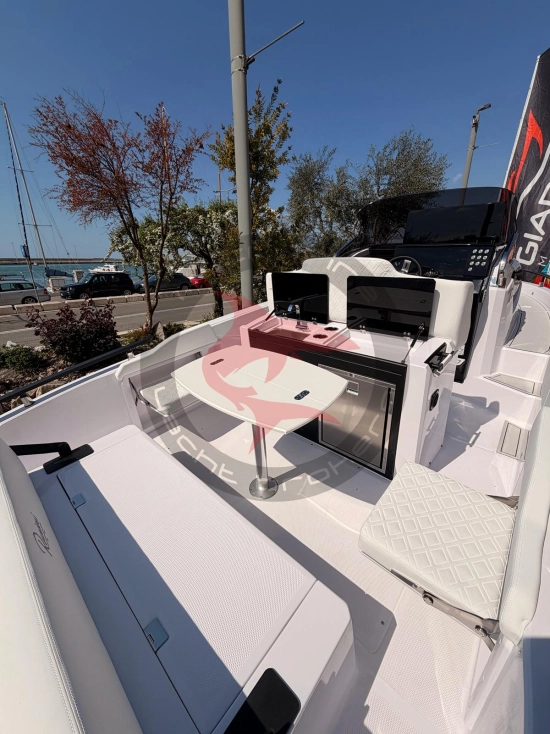 Ranieri INTERNATIONAL NEXT 255 LX novos à venda