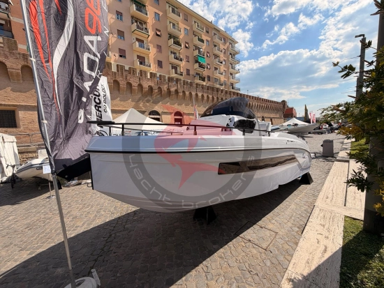 Ranieri INTERNATIONAL NEXT 255 LX novos à venda