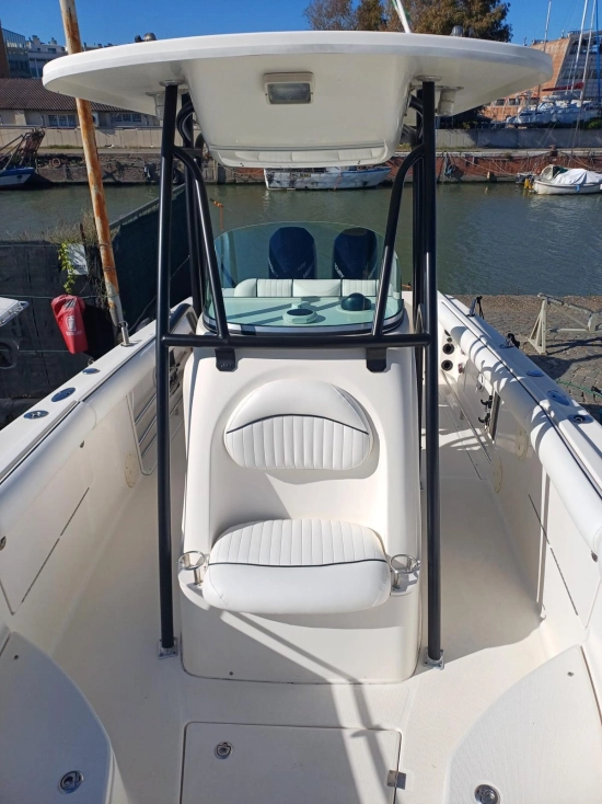 Robalo 260 usado à venda