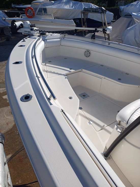 Robalo 260 usado à venda