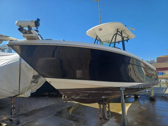 Robalo 260 usado à venda