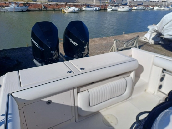 Robalo 260 usado à venda