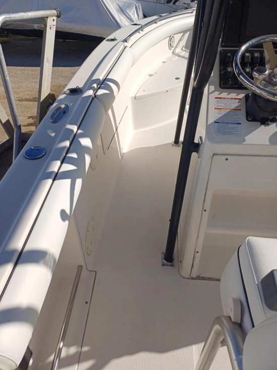 Robalo 260 usado à venda