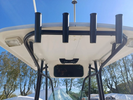 Robalo 260 usado à venda