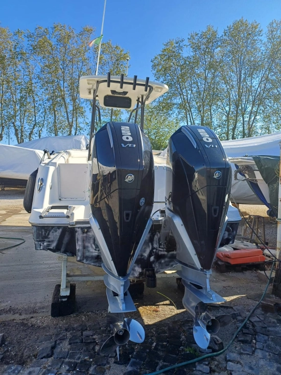 Robalo 260 usado à venda