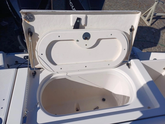 Robalo 260 usado à venda