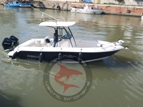 Robalo 260 usado à venda
