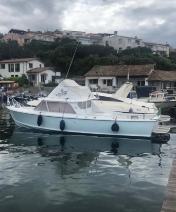 Bertram 31 SPECIAL EDITION usata in vendita