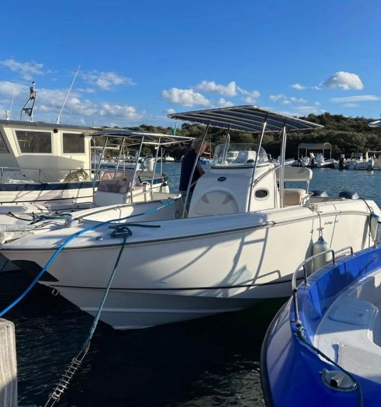 Boston Whaler 240 OUTRAGE de segunda mano en venta