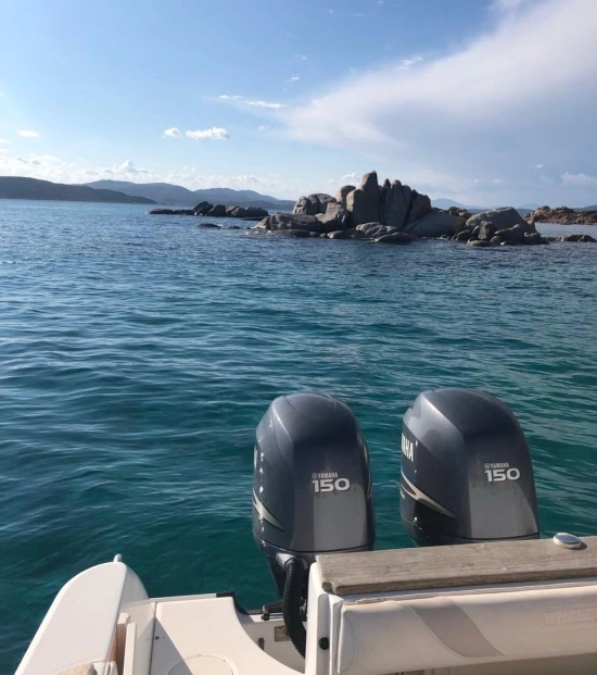 Boston Whaler 240 OUTRAGE de segunda mano en venta