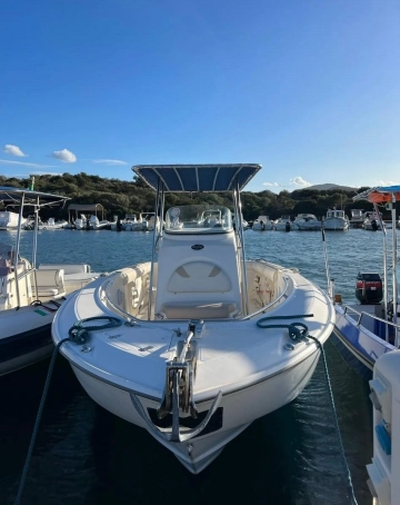Boston Whaler 240 OUTRAGE usado à venda