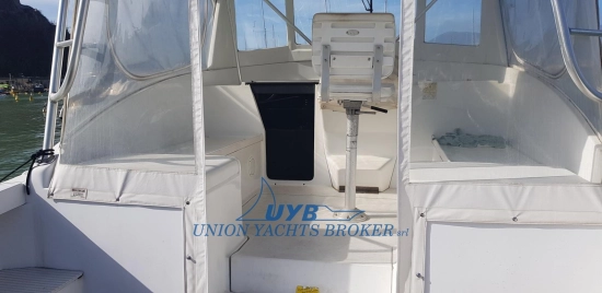 Luhrs T 290 WA usata in vendita