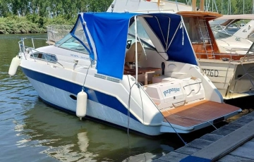 Regal 260 VALANTI usata in vendita