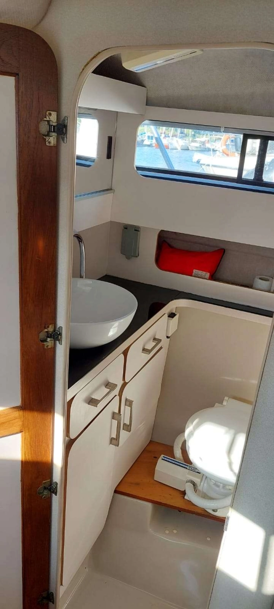 Regal 260 VALANTI de segunda mano en venta