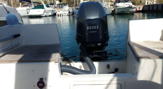 Custom 560 CRUISER usata in vendita