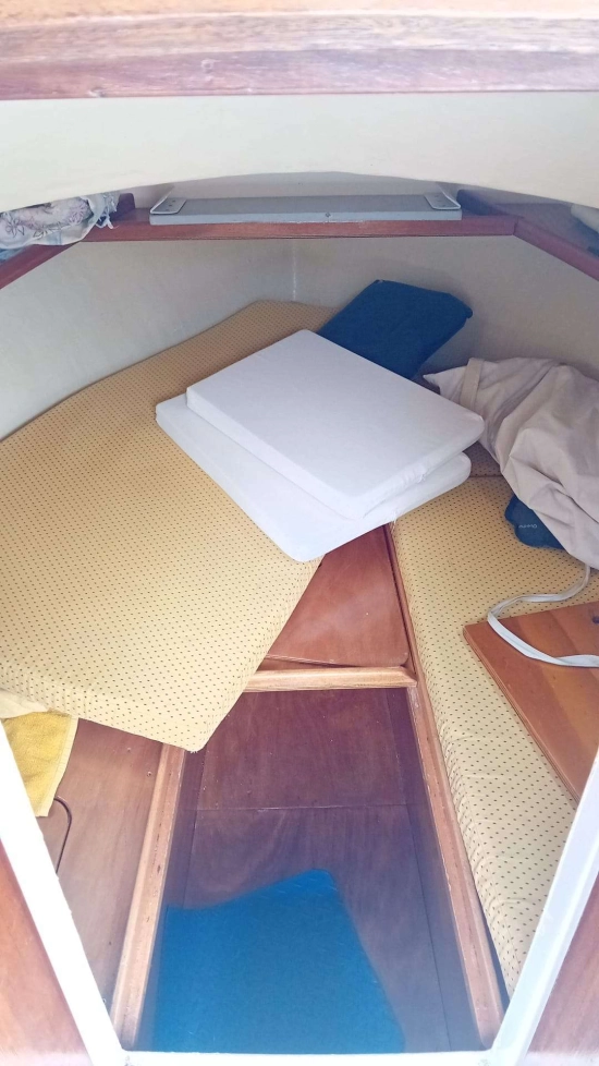 CANTIERE GAVAZZI NOSTROMO 21 usata in vendita