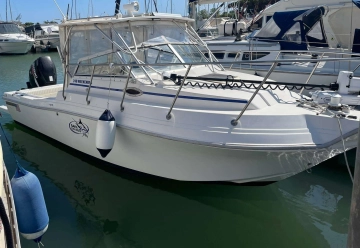 Wellcraft 250 FISHERMAN de segunda mano en venta