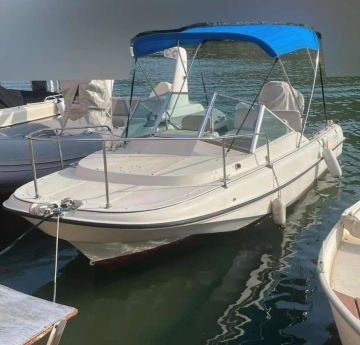 Boston Whaler REVENGE 19 usata in vendita