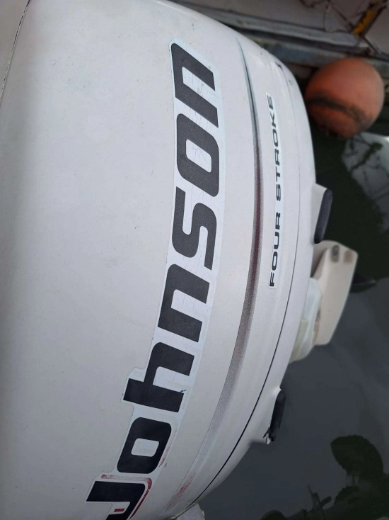 Boston Whaler REVENGE 19 usata in vendita