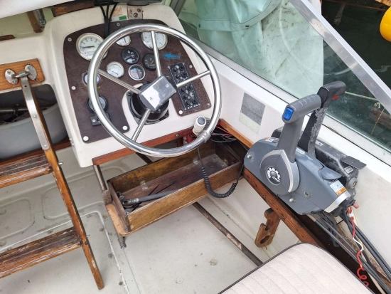 Boston Whaler REVENGE 19 usata in vendita