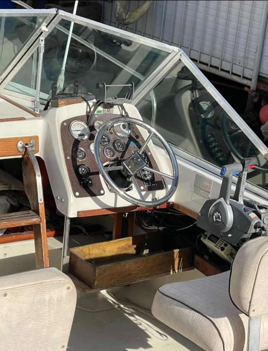 Boston Whaler REVENGE 19 usata in vendita