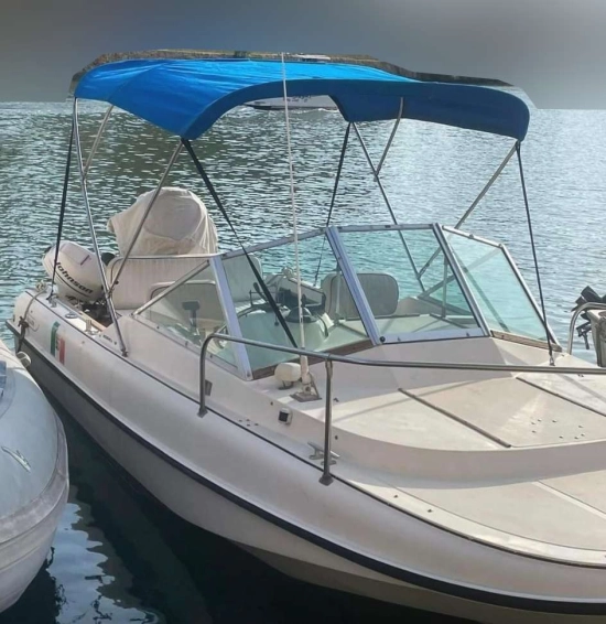 Boston Whaler REVENGE 19 usata in vendita