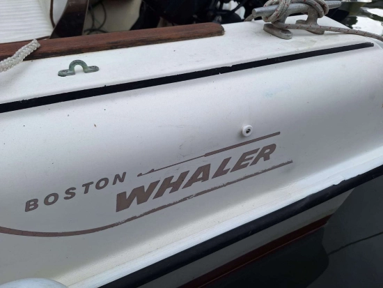 Boston Whaler REVENGE 19 usata in vendita