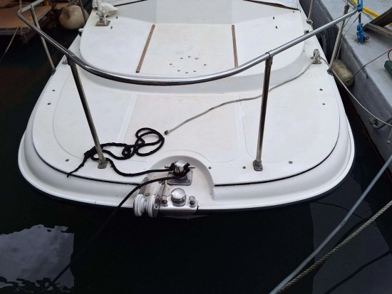 Boston Whaler REVENGE 19 usata in vendita