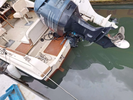 Boston Whaler REVENGE 19 usata in vendita