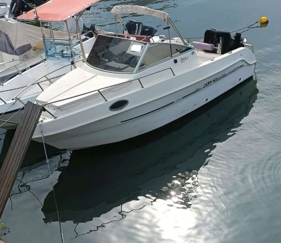 Saver MANTA 600 usata in vendita