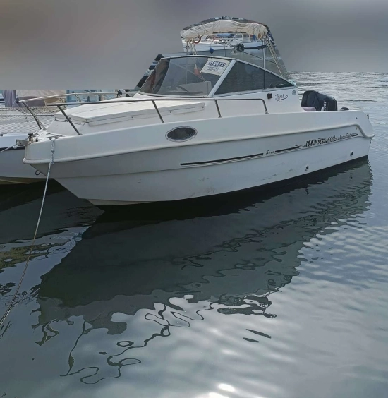 Saver MANTA 600 usata in vendita
