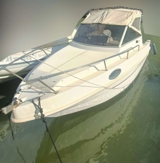 Saver MANTA 600 usata in vendita
