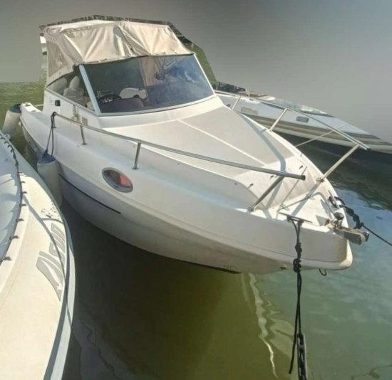 Saver MANTA 600 usata in vendita
