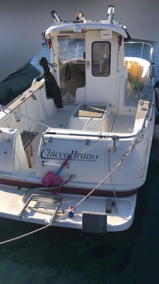 Arvor 215 AS usado à venda