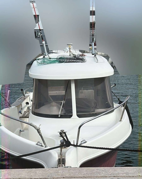 Arvor 215 AS usado à venda