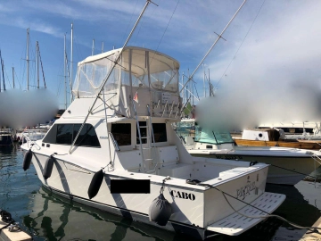Cabo Yachts 35 de segunda mano en venta