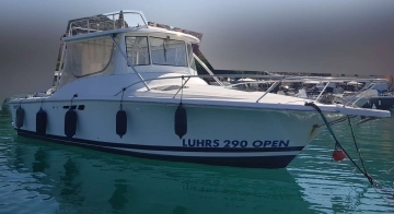 Luhrs 290 usata in vendita