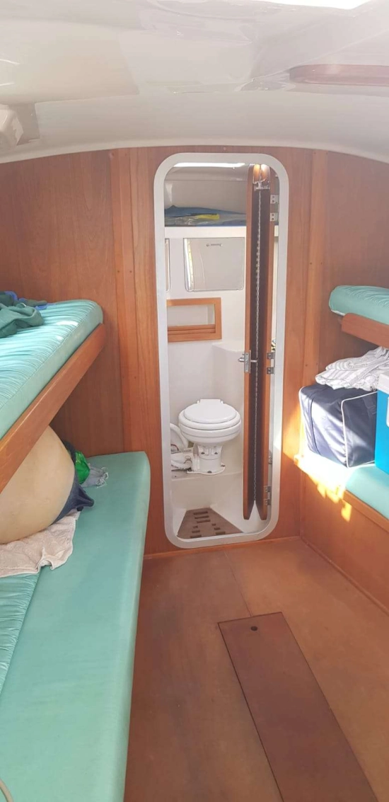 Luhrs 290 usata in vendita