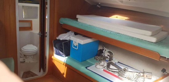 Luhrs 290 usata in vendita