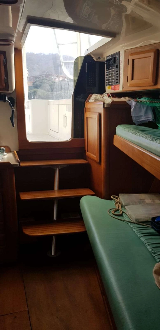 Luhrs 290 usata in vendita