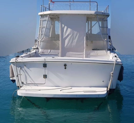 Luhrs 290 usata in vendita